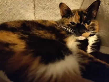 Immagine di Build your own computer